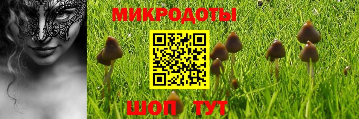 Псилоцибиновые грибы Magic Shrooms Печора