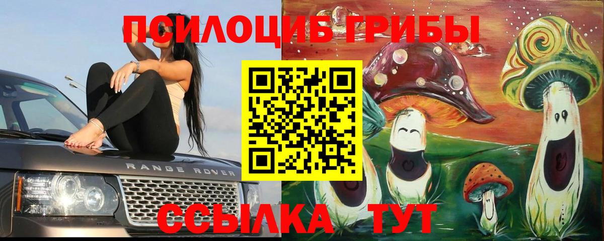 Печора  Псилоцибиновые грибы MAGIC MUSHROOMS  купить закладку  Вход с VPN 
